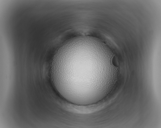 X0000110980030200906261438