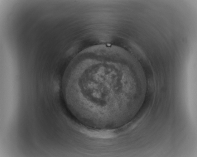 X0000110980032200906261438