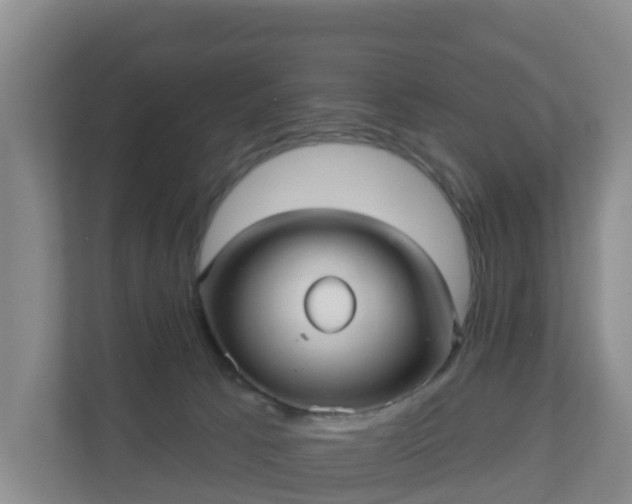 X0000110980033200906261438