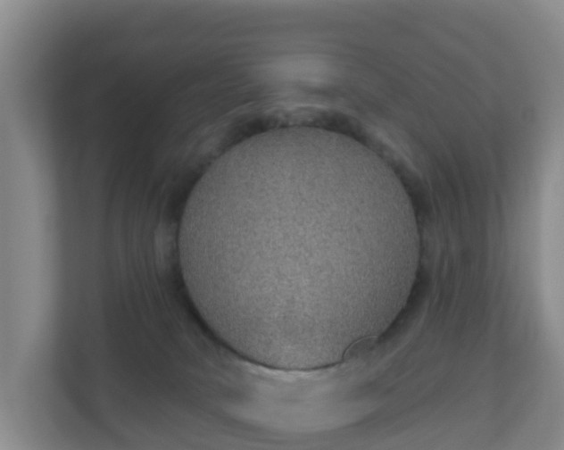 X0000110980034200906261438