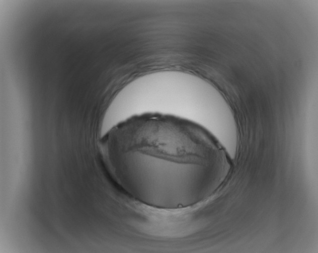 X0000110980035200906261438