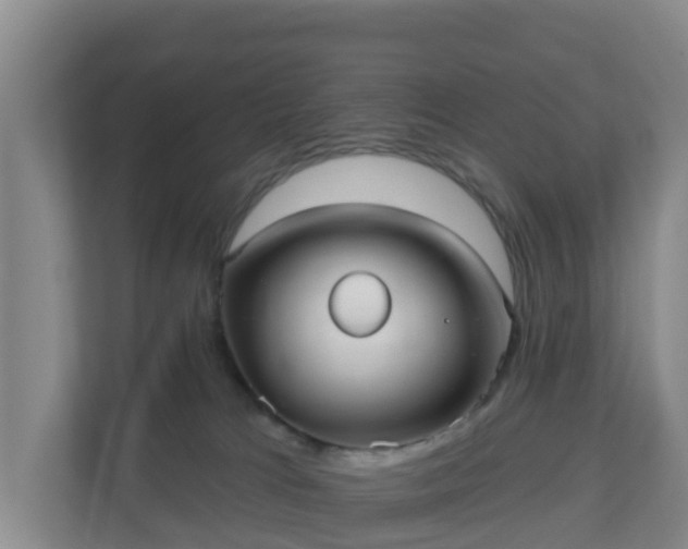 X0000110980037200906261438