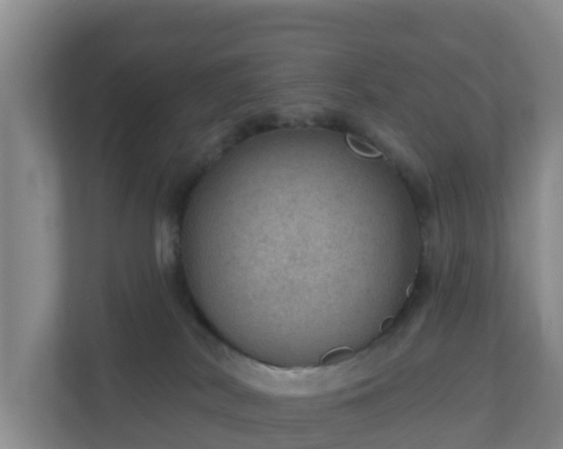 X0000110980038200906261438