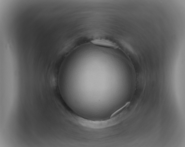 X0000110980039200906261438