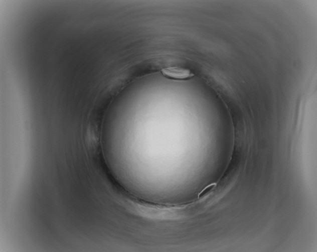 X0000110980040200906261438