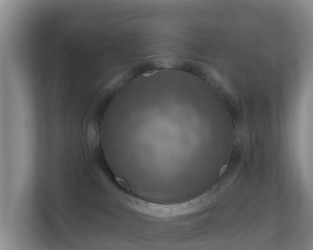 X0000110980043200906261438