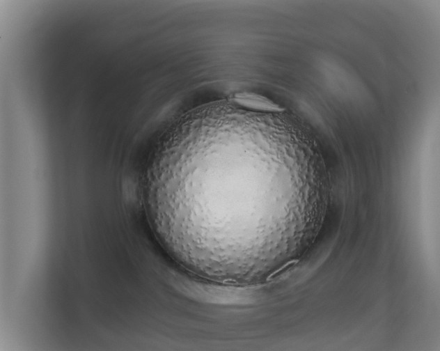 X0000110980044200906261438