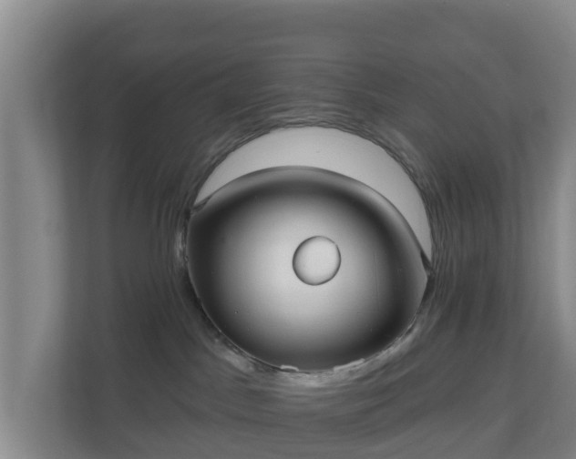 X0000110980045200906261438