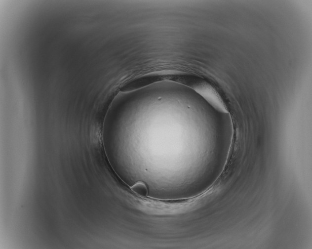 X0000110980048200906261438