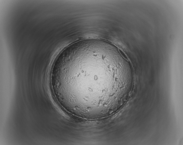 X0000110980049200906261437