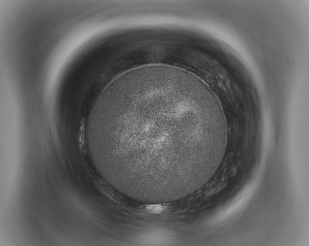 X0000110980050200906261437