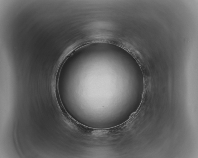 X0000110980051200906261437