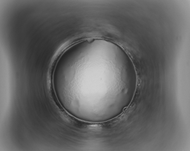 X0000110980053200906261437