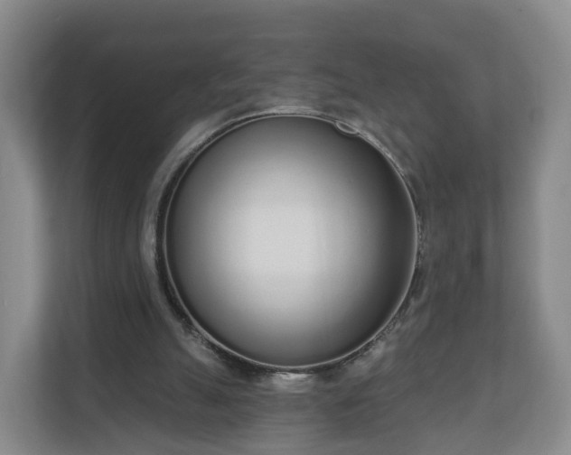 X0000110980055200906261437