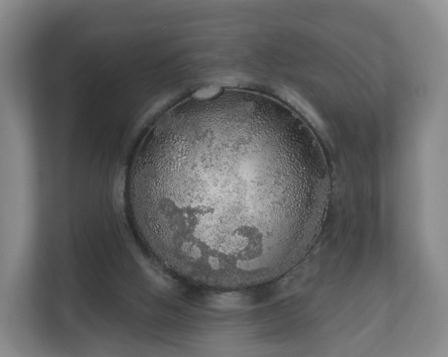 X0000110980058200906261437