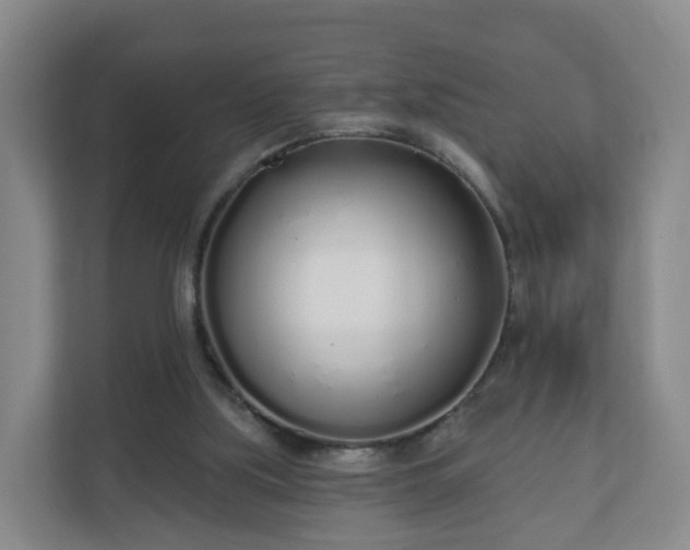 X0000110980059200906261437