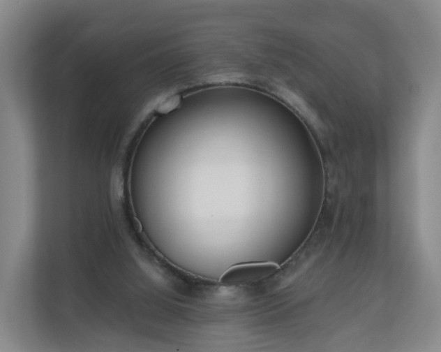 X0000110980060200906261437