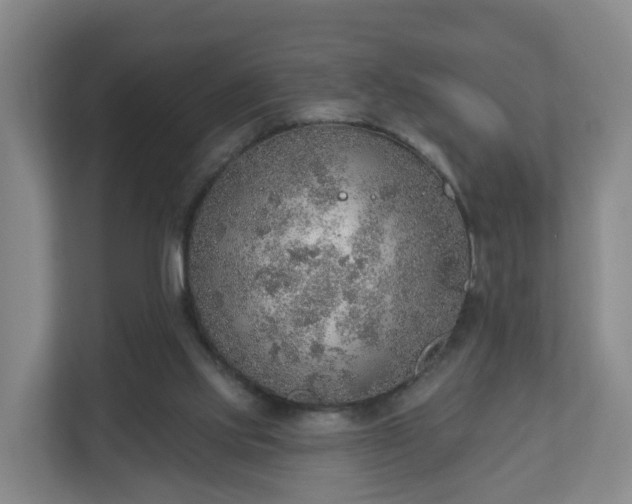 X0000110980061200906261437