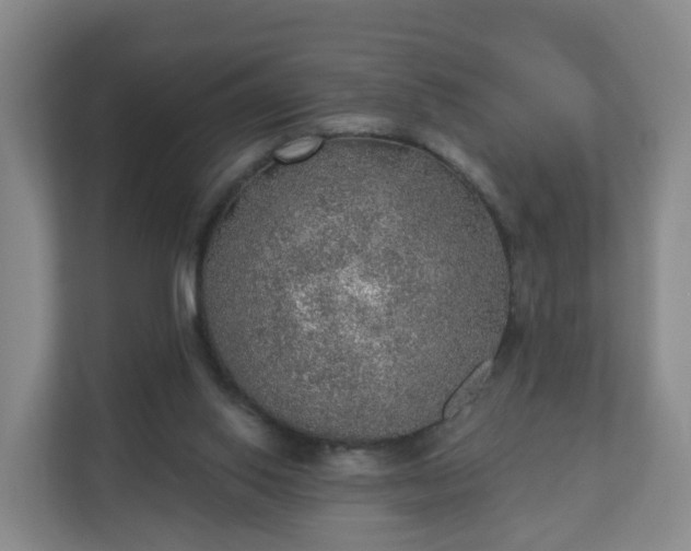 X0000110980062200906261437