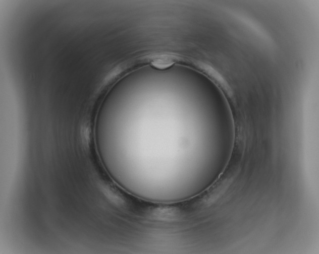 X0000110980063200906261437