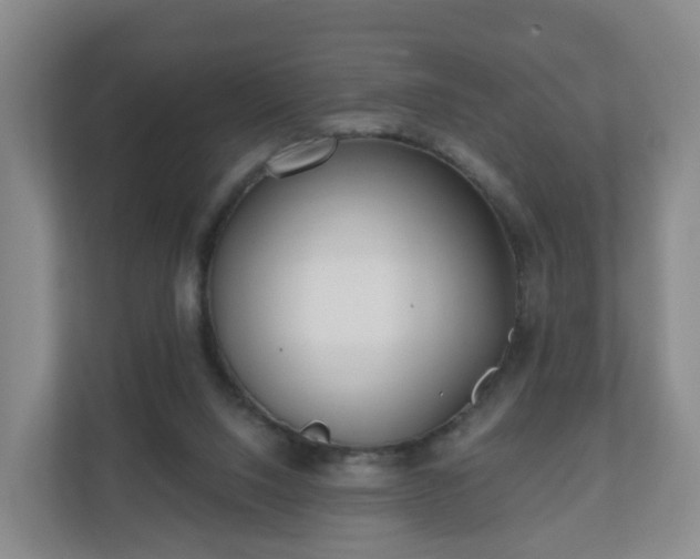 X0000110980064200906261437