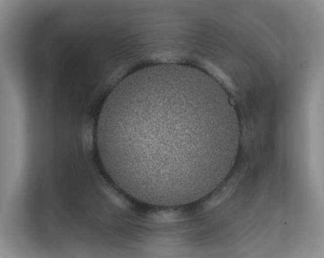 X0000110980065200906261437