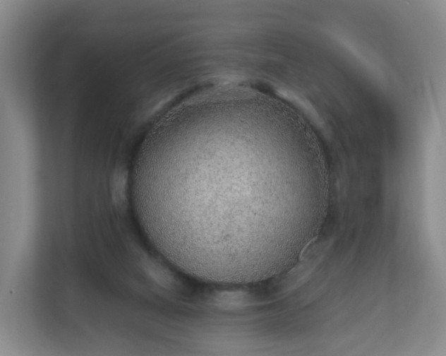 X0000110980066200906261437