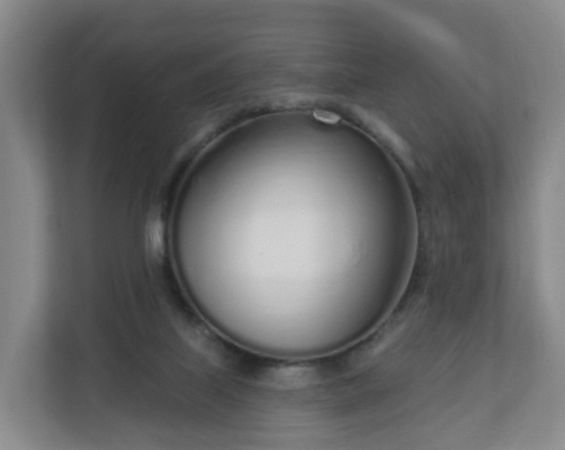 X0000110980067200906261437