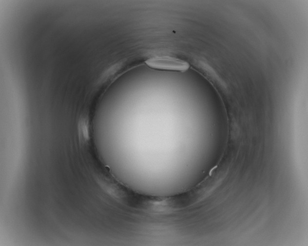 X0000110980068200906261437