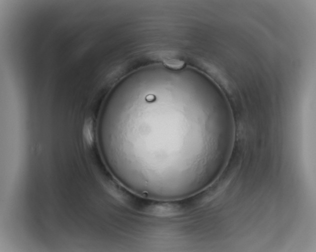 X0000110980069200906261437