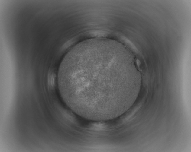 X0000110980071200906261438