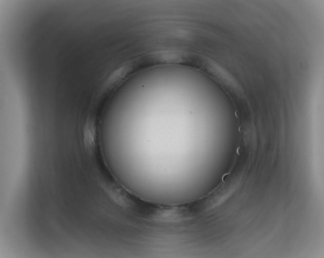 X0000110980072200906261438