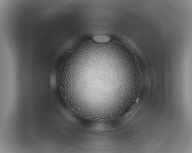 X0000110980074200906261438