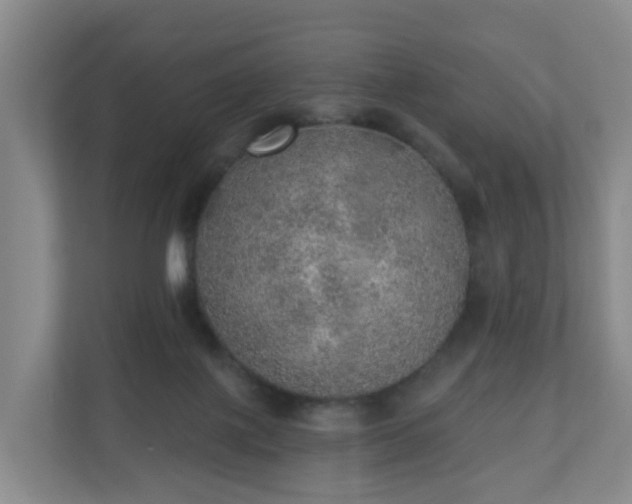 X0000110980075200906261438