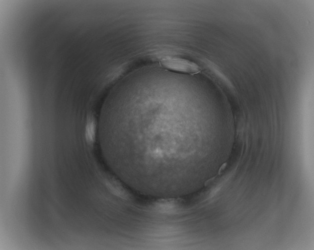 X0000110980076200906261438