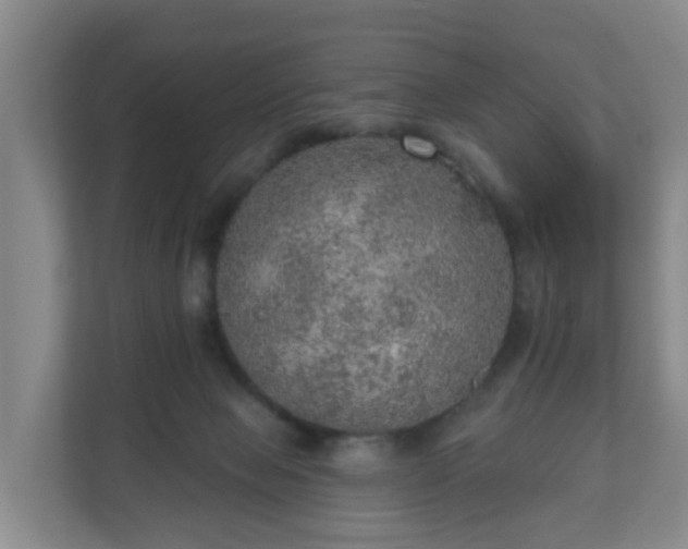 X0000110980077200906261438