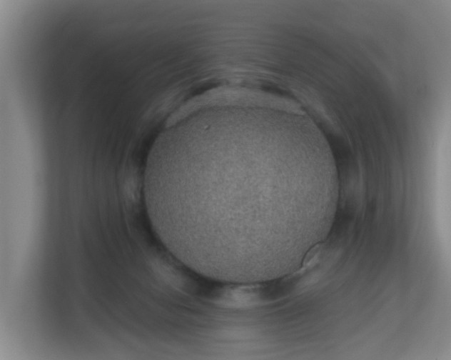 X0000110980078200906261438