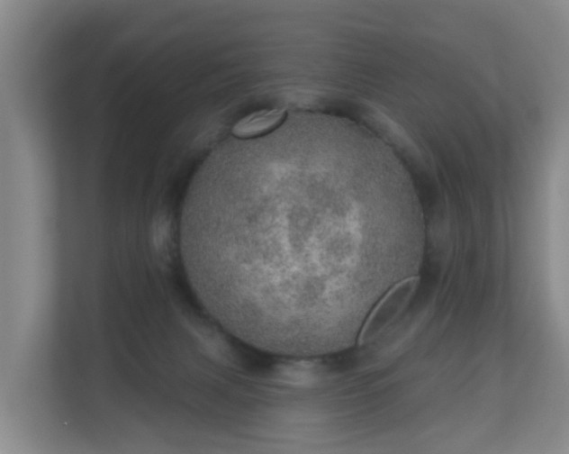 X0000110980079200906261438