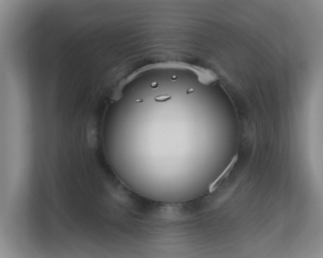 X0000110980080200906261438