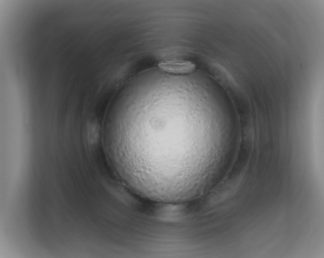 X0000110980081200906261438