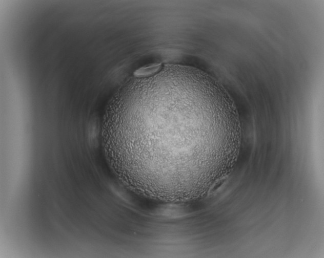 X0000110980082200906261438