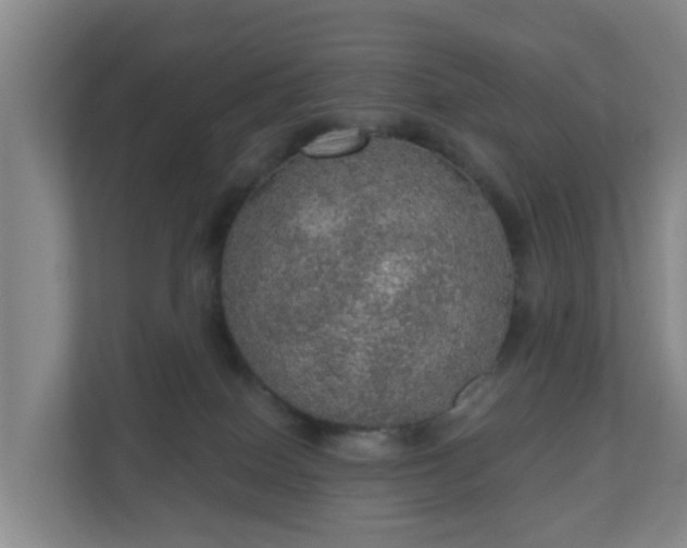 X0000110980086200906261438