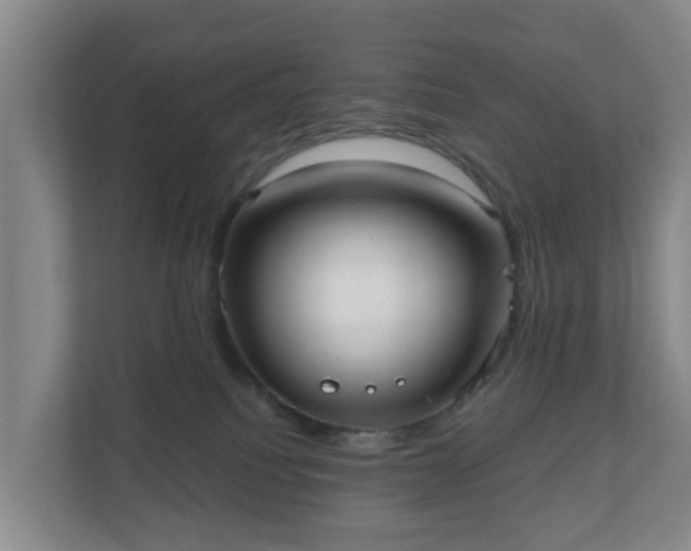 X0000110980088200906261438