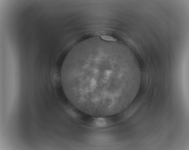 X0000110980091200906261438