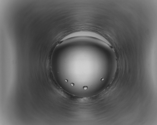 X0000110980092200906261438