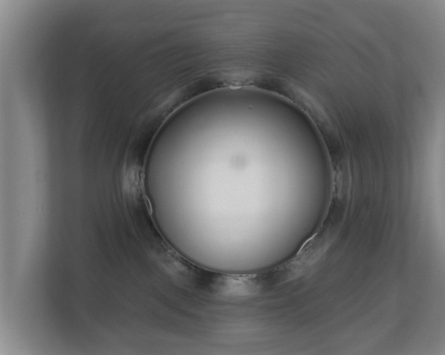 X0000110980093200906261438