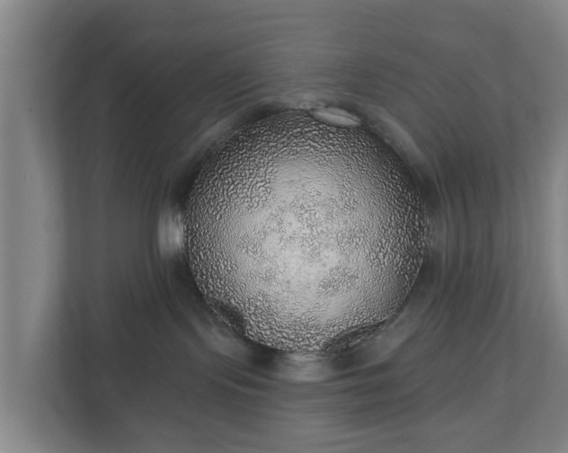 X0000110980095200906261438