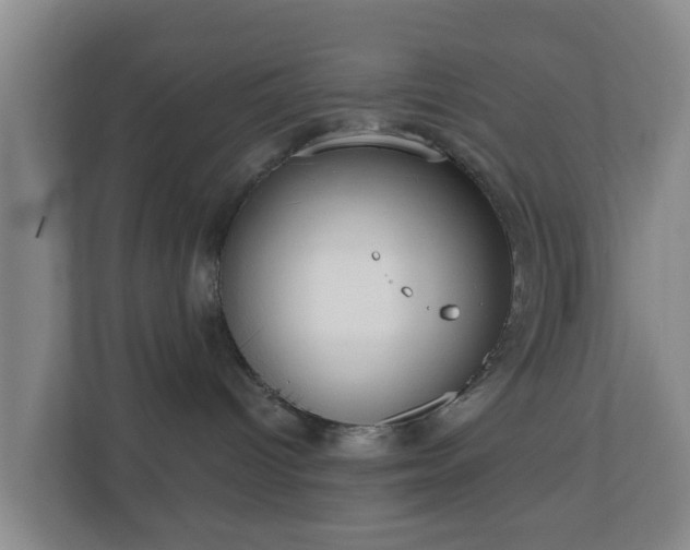 X0000110980096200906261438