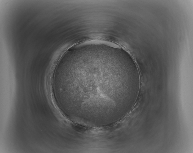 X0000110980097200906261437