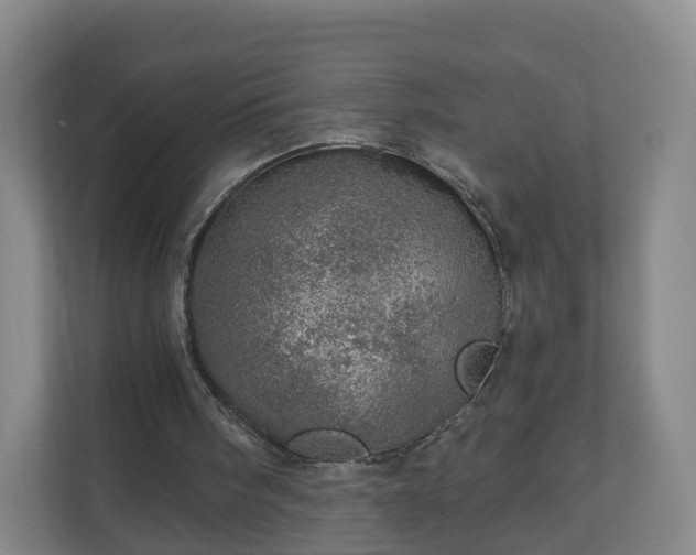 X0000110980098200906261437